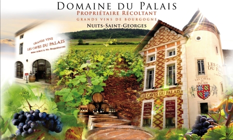 DOMAINE PALAIS DE NUITS Logo DOMAINE PALAIS DE NUITS